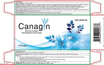 Canagyn Antifungal (Canagyn Label  (1))